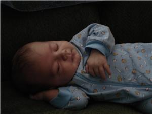 Image: 7 Weeks old today