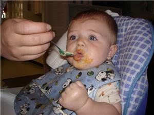 Image: Solid Food